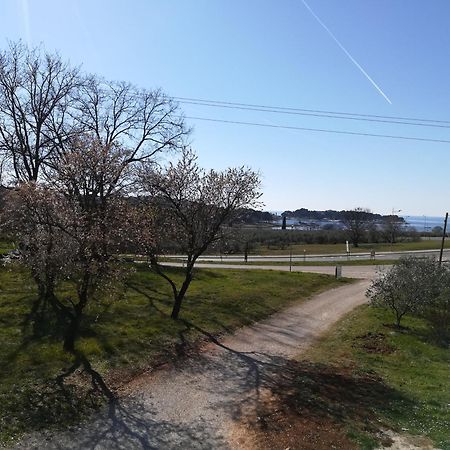 Guesthouse Porec Exterior photo